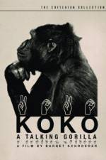 Koko, le gorille qui parle