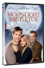 Moonlight and Mistletoe