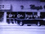 Watch Spy on the Fly (Short 1967) 123movies