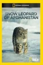 Snow Leopard of Afghanistan