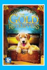 The Gold Retrievers