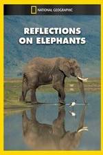 Reflections on Elephants