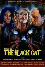 Watch POE 4: The Black Cat 123movies