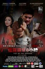 Watch Fist of the Dragon 123movies