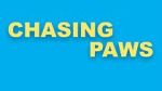 Chasing Paws (Short 2020)