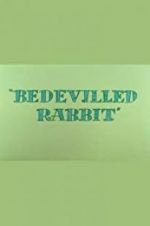 Bedevilled Rabbit