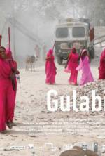 Watch Gulabi Gang 123movies