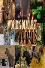 National Geographic - Worlds Deadliest Animal Battles