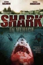 Shark in Venice