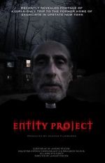 Entity Project