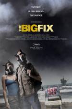 The Big Fix