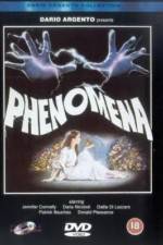 Phenomena