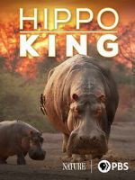 Watch Hippo King 123movies