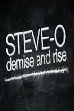 Steve-O: Demise and Rise