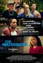 Watch The Waterboyz 123movies