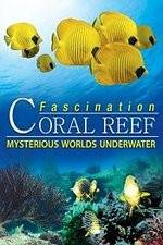 Fascination Coral Reef: Mysterious Worlds Underwater