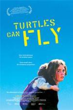 Turtles Can Fly