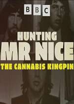 Watch Hunting Mr Nice: The Cannabis Kingpin 123movies