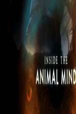 Inside the Animal Mind