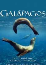 Galapagos