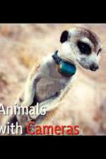 Animals with Cameras