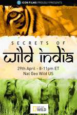Watch Secrets of Wild India 123movies