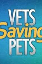 Vets Saving Pets