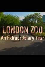 London Zoo: An Extraordinary Year