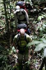 Walking The Amazon