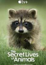 Watch The Secret Lives of Animals 123movies