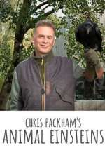 Chris Packham's Animal Einsteins