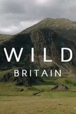 Wild Britain