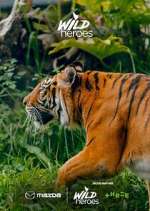 Watch Wild Heroes 123movies