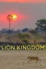 Lion Kingdom