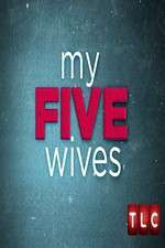 Watch My Five Wives 123movies
