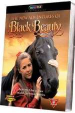 The New Adventures of Black Beauty