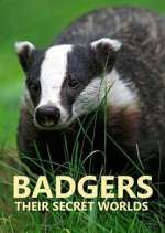 Badgers: Their Secret Worlds