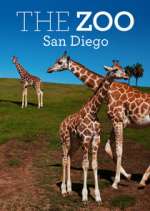 The Zoo: San Diego