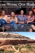 Watch Three Wives One Husband 123movies