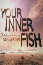 Your Inner Fish