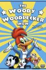 The Woody Woodpecker Show