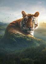 Watch Asia 123movies