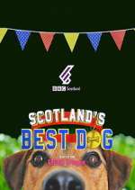 Scotland's Best Dog