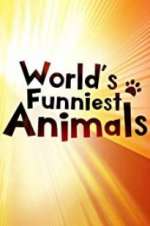 S4 E18 The World\'s Funniest Animals Season 4 Episode 18