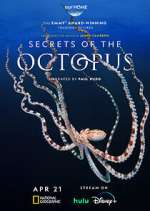 Secrets of the Octopus