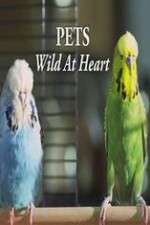 Pets - Wild at Heart