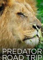 Predator Road Trip