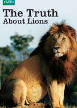 The Truth About Lions