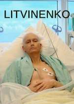 Litvinenko