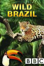 Wild Brazil